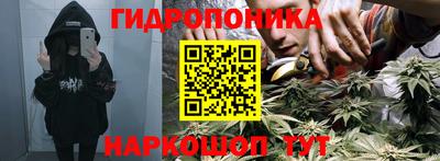индика Беслан