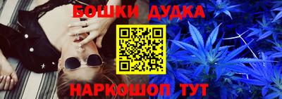 индика Беслан