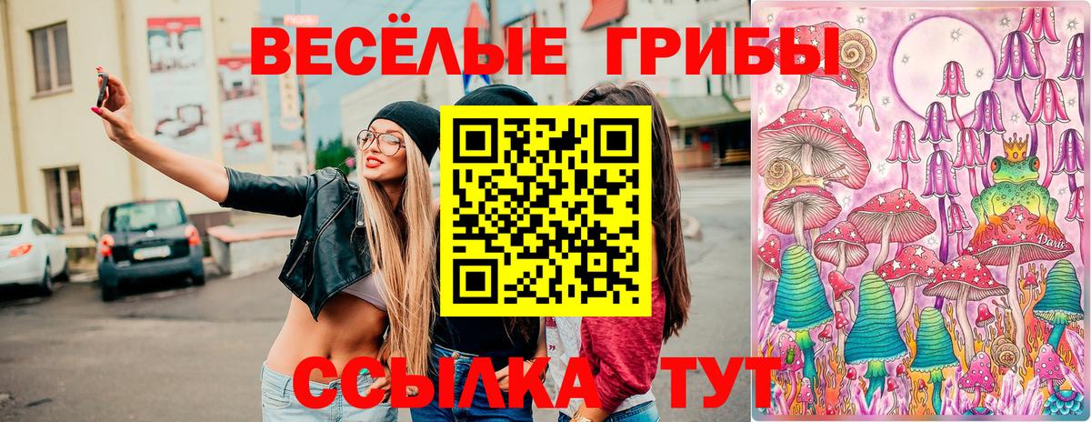 Псилоцибиновые грибы Cubensis Балахна