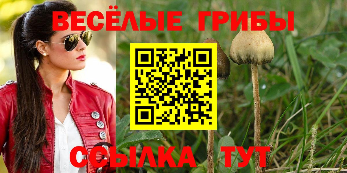 Балахна  Псилоцибиновые грибы Cubensis  купить наркотик  Вход с VPN 